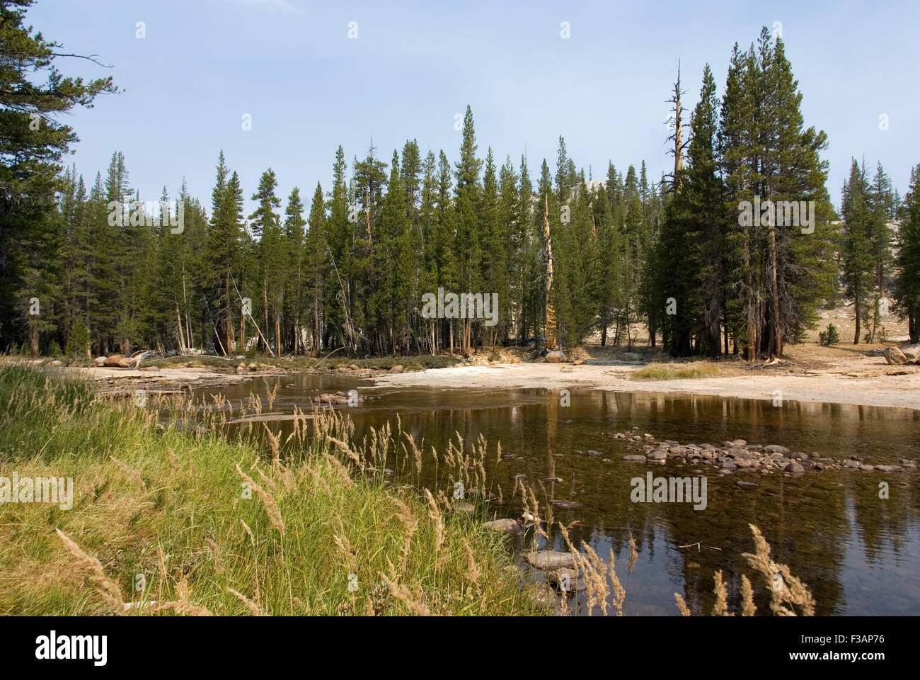 Tuolumne river hi-res stock photography and images - Alamy