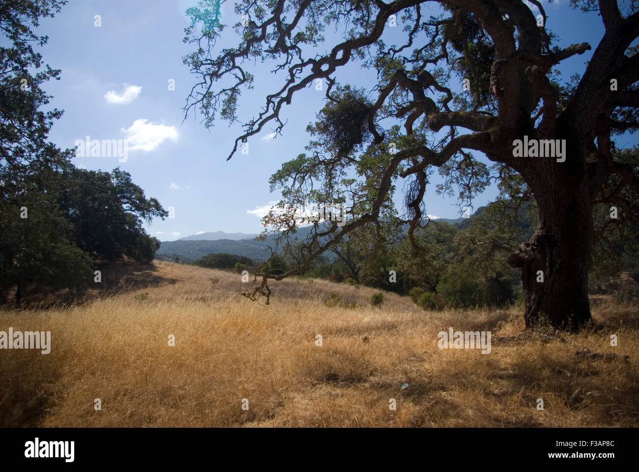 Almaden Quicksilver County Park, San Jose, California Stock Photo
