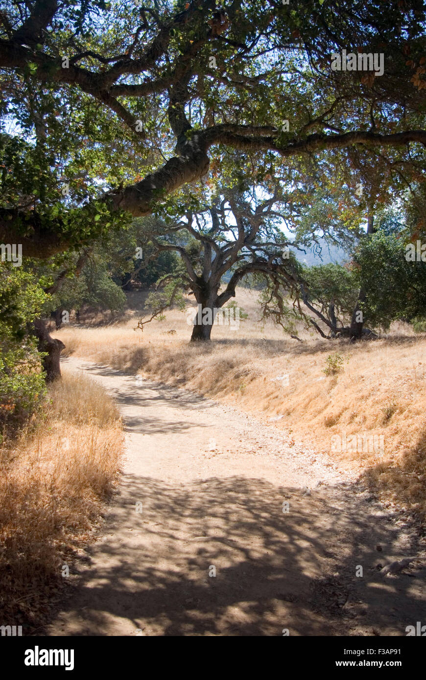 Trail  at Almaden Quicksilver County Park, San Jose, California Stock Photo