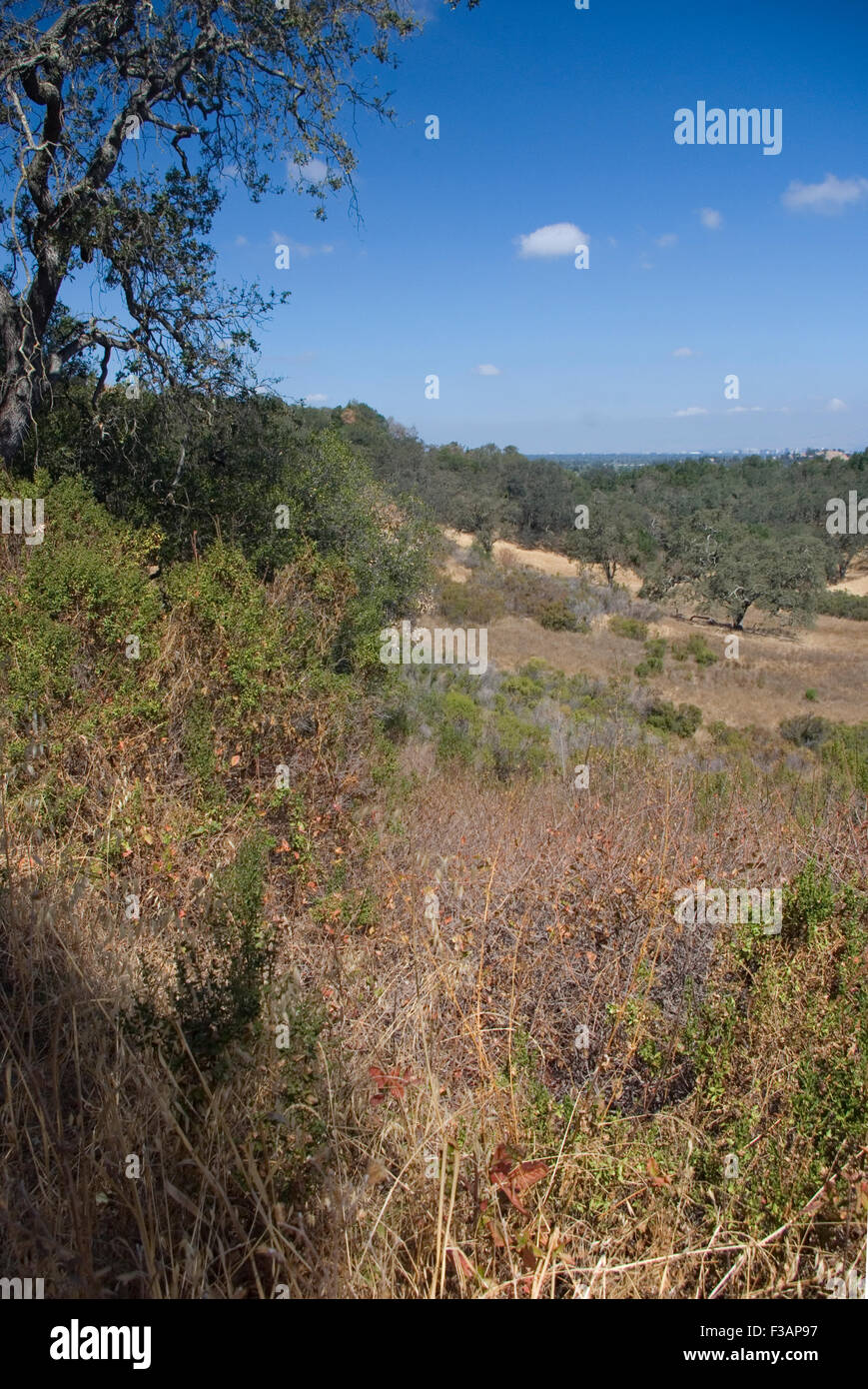 View over Almaden Quicksilver County Park, San Jose, California Stock Photo
