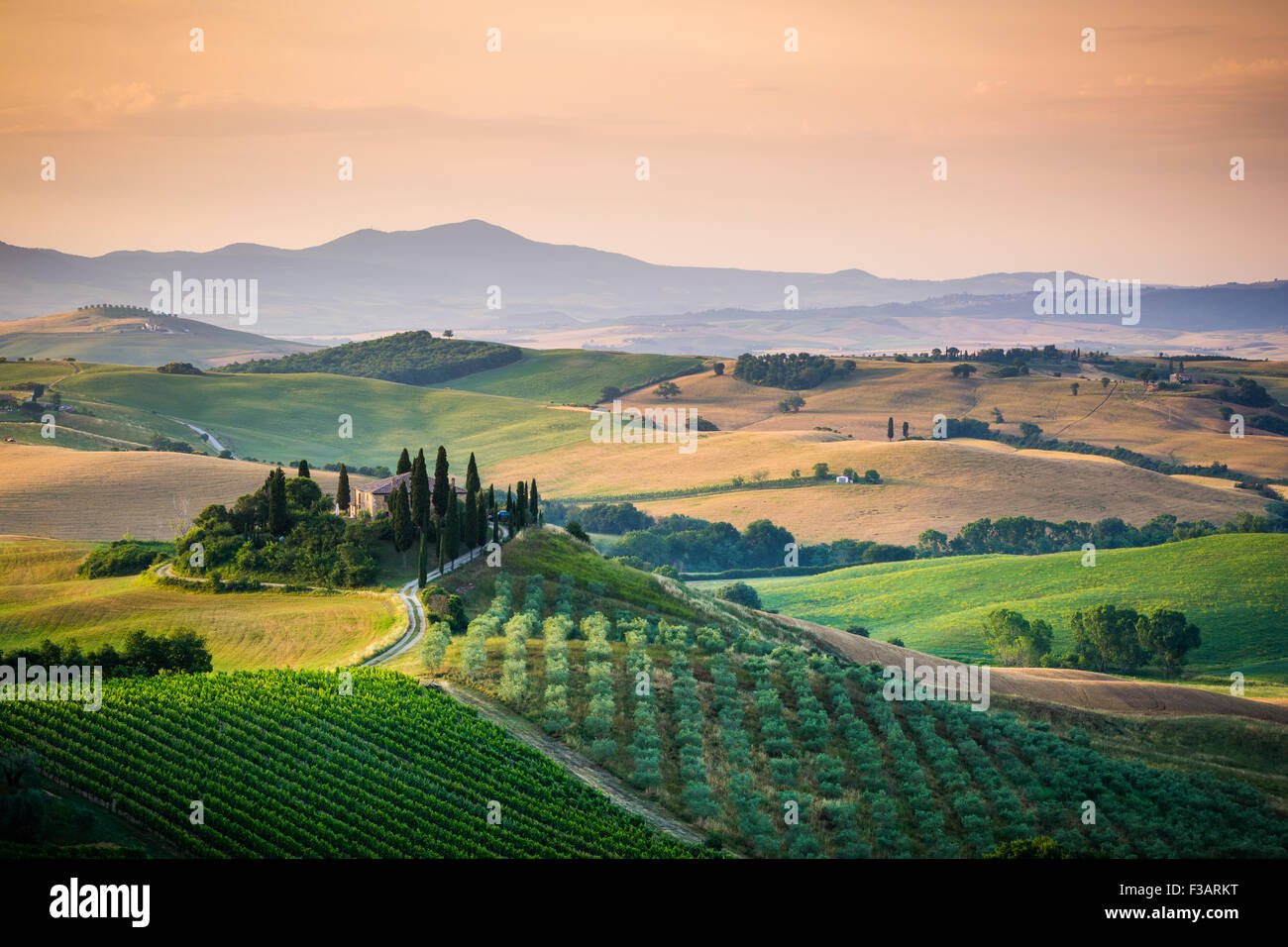 Tuscany, lonely farmhouse in the green and golden country hills of Val d'Orcia, early morning. Italian landscape. Stock Photo