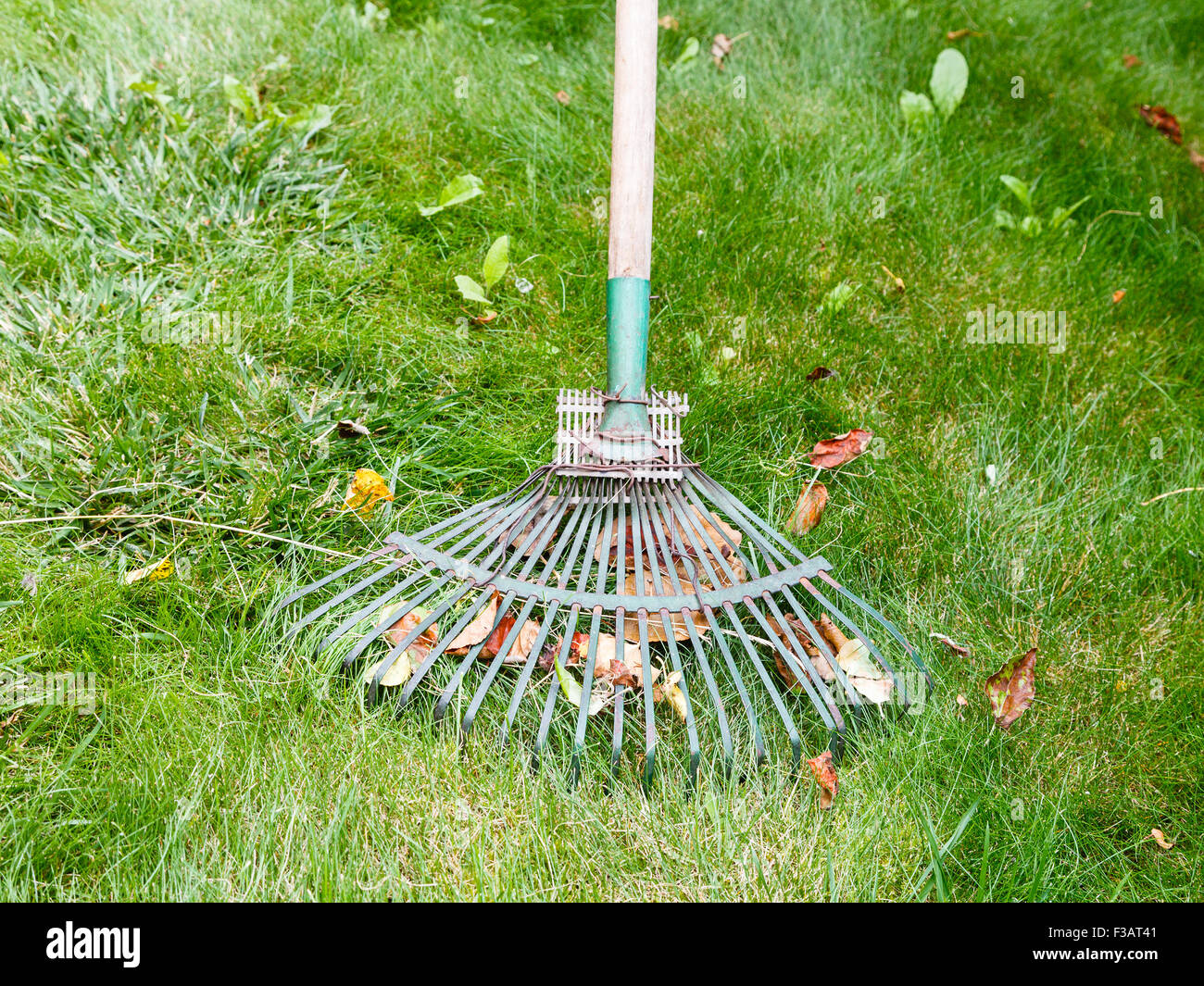 Rake lawn hires stock photography and images Alamy