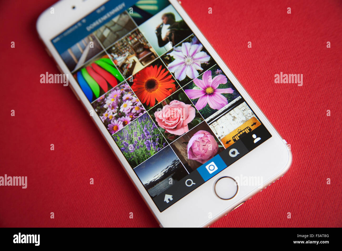 Instagram photo feed screen on a Gold and white Apple iPhone 6 against a red background Stock Photo