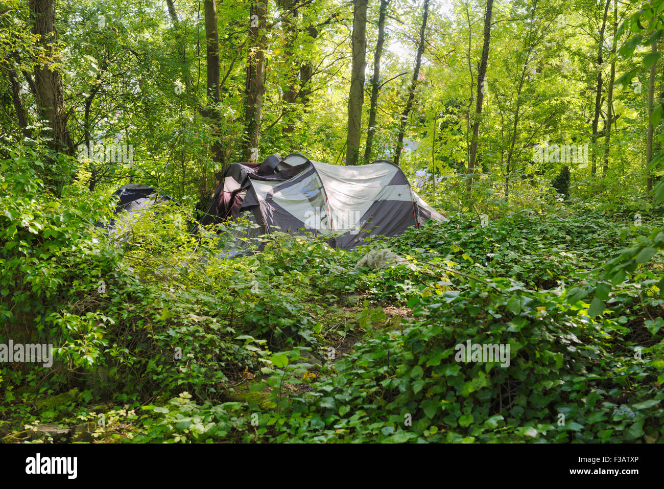 Homeless in the UK living in tent hidden among trees, Bristol England Stock Photo