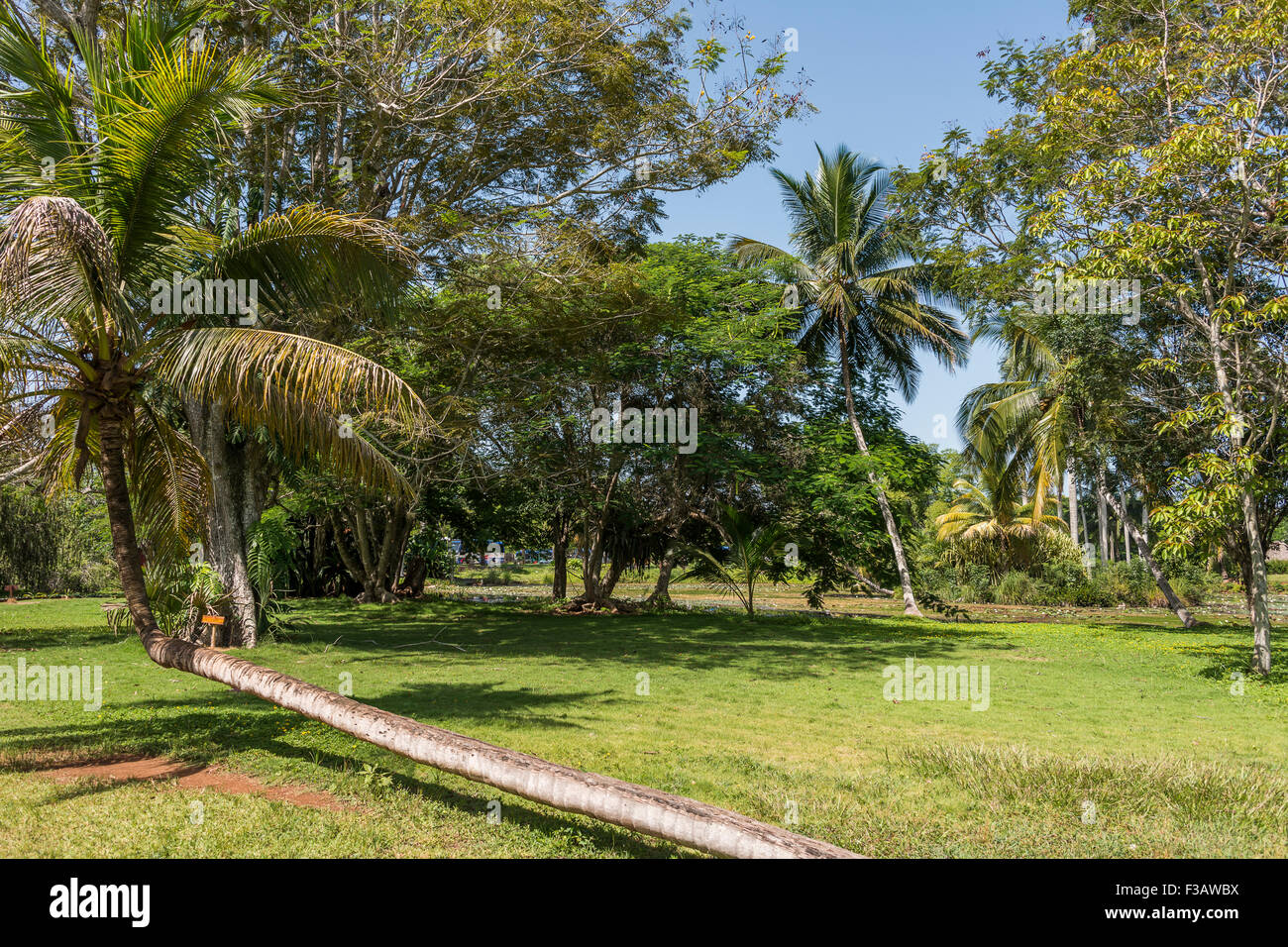 Taino Indian Village in Cuba. Stock Photo