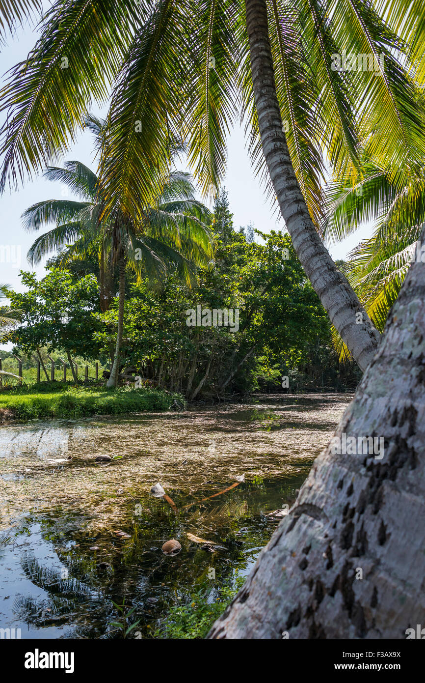 Taino Indian Village in Cuba. Stock Photo