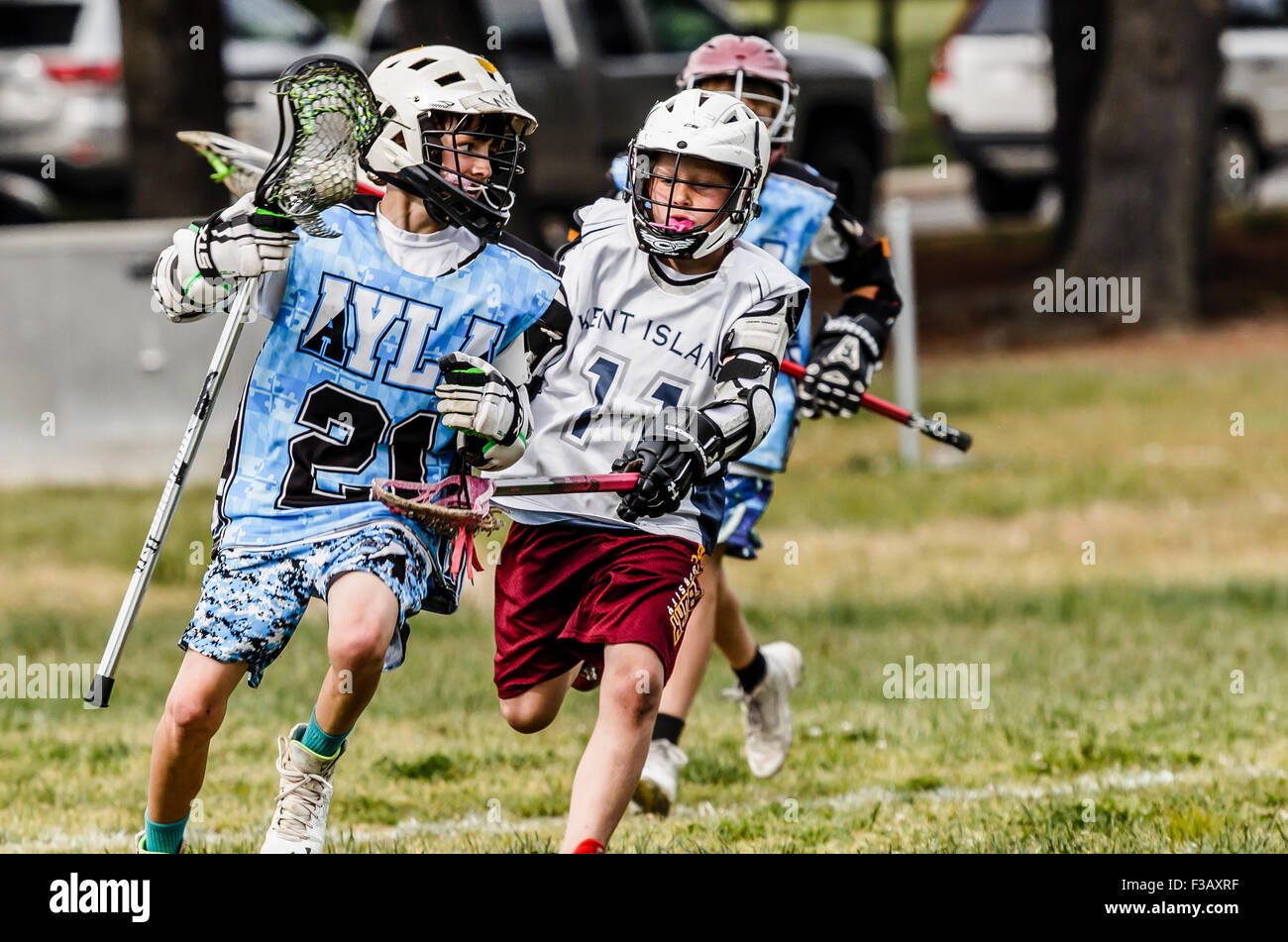 Junior lacrosse players vying for the ball Stock Photo
