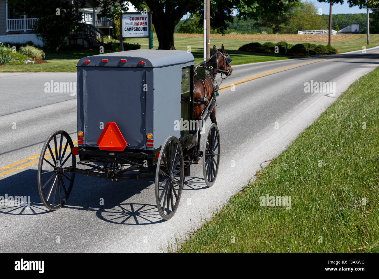 Amish horse and square buggy trotting on main road warning triangle on rear of buggy Lancaster County Pennsylvania USA Stock Photo