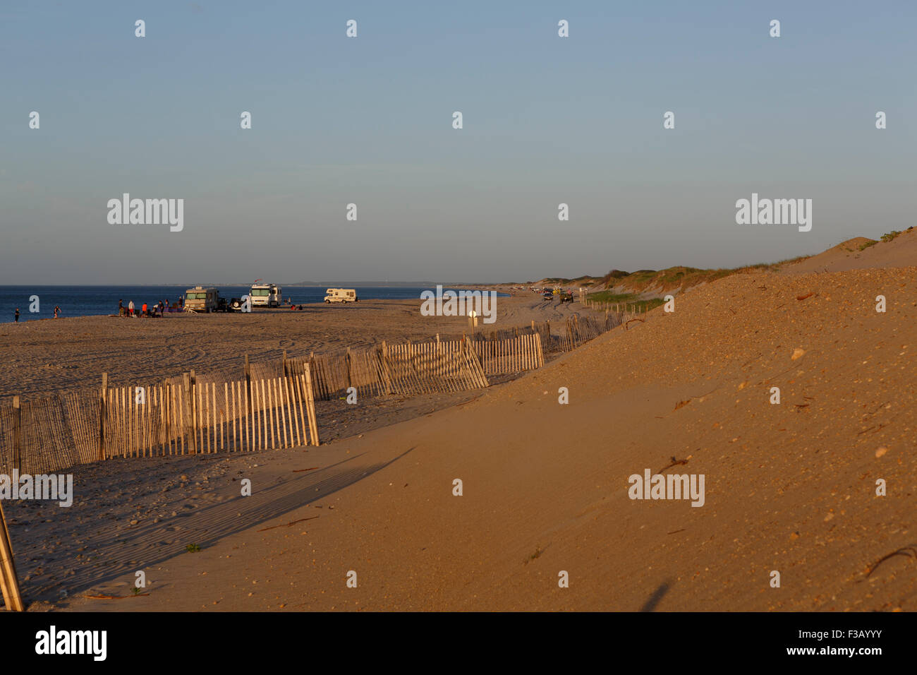 Campervans at Sandy Neck beach Barnstable Cape Cod Massachusetts USA Stock Photo