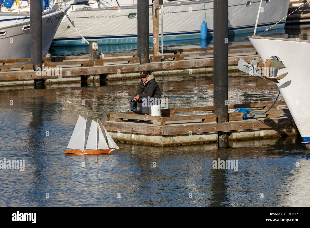 Man sailing his remote control schooner sailboat in Victoria Inner Harbour Vancouver island British Columbia Stock Photo