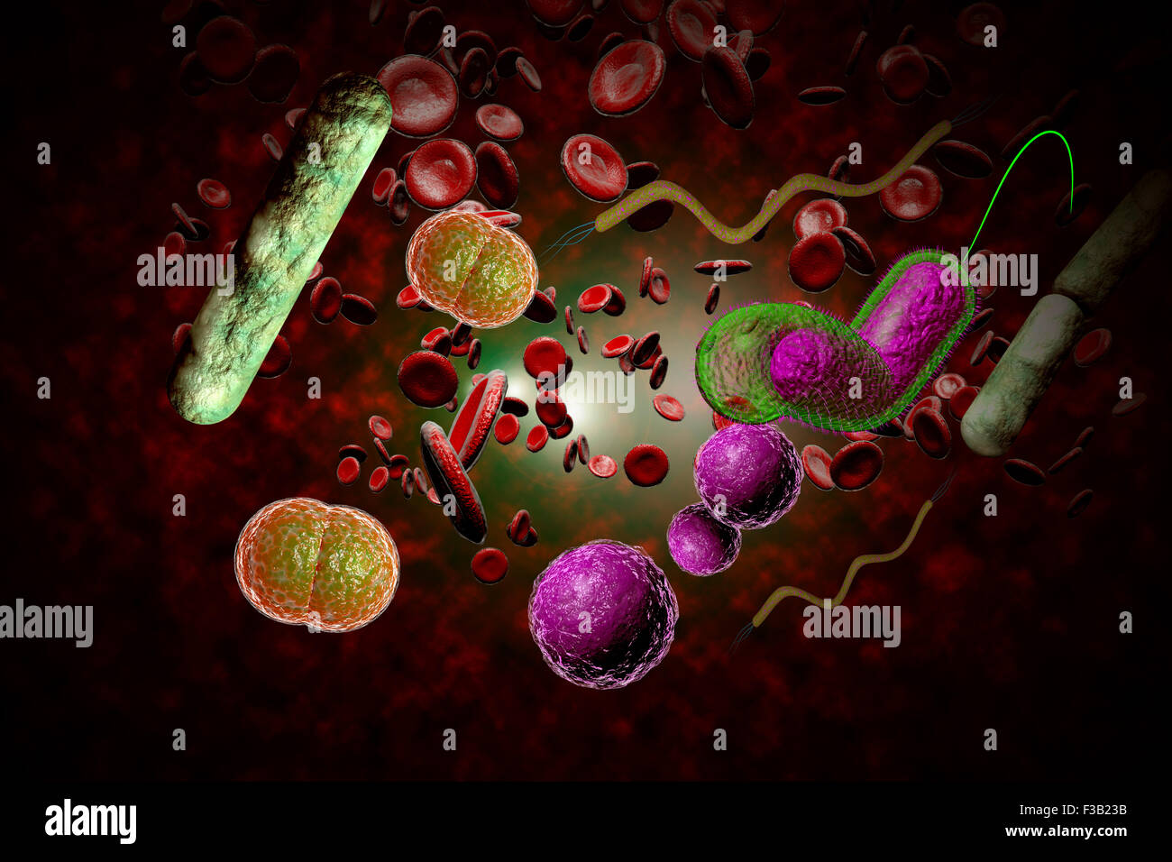 Микробы в крови