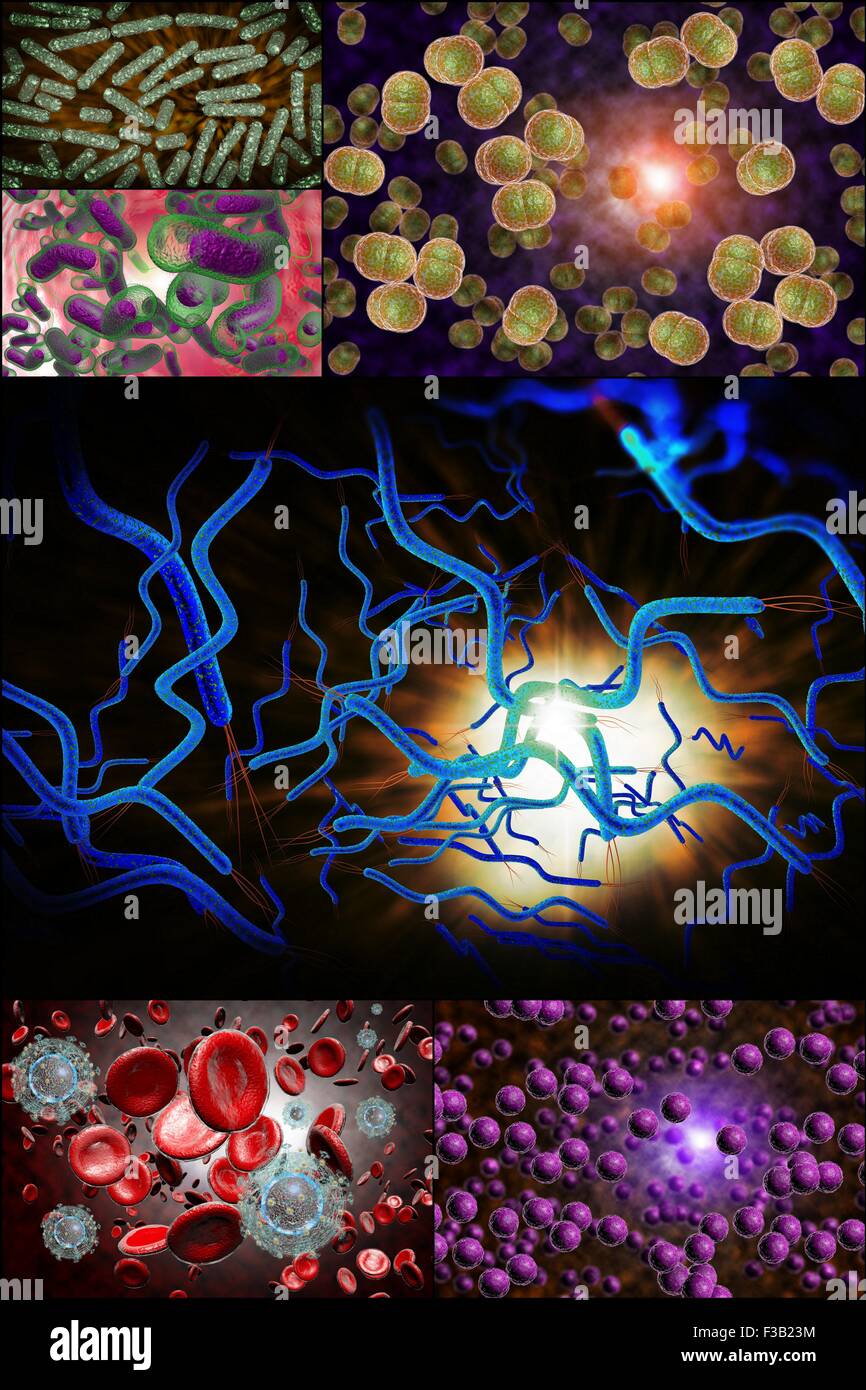 3D microscope close up of various bacteria in collage imagery Stock Photo
