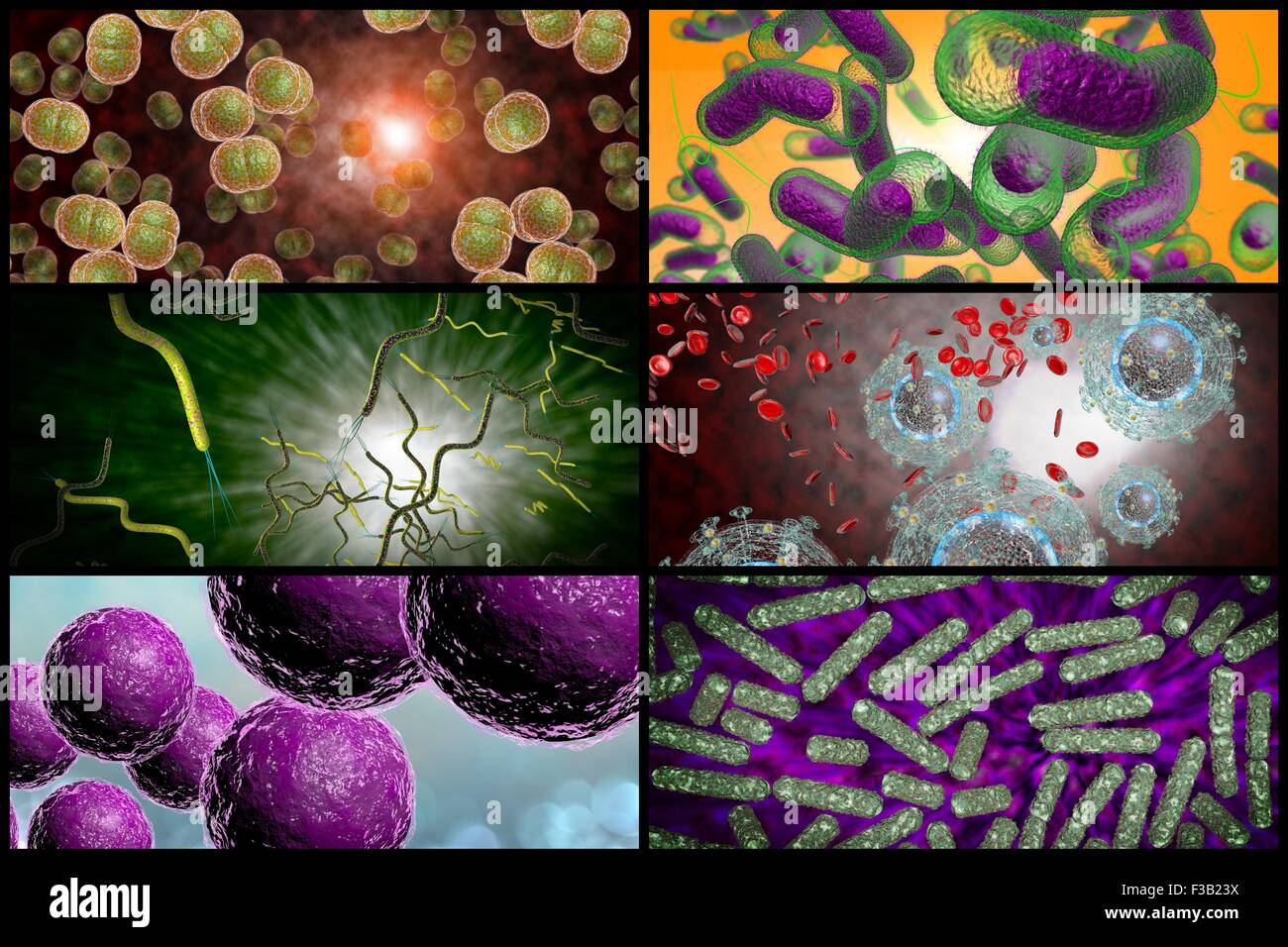 3D microscope close up of various bacteria in collage imagery Stock ...