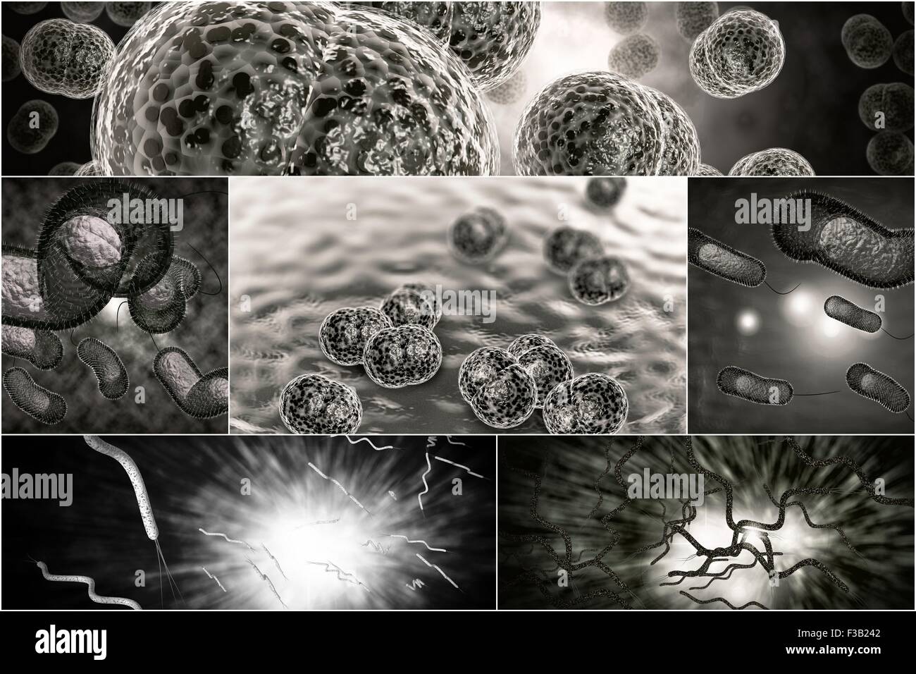 3D microscope close up of various bacteria in collage imagery Stock Photo