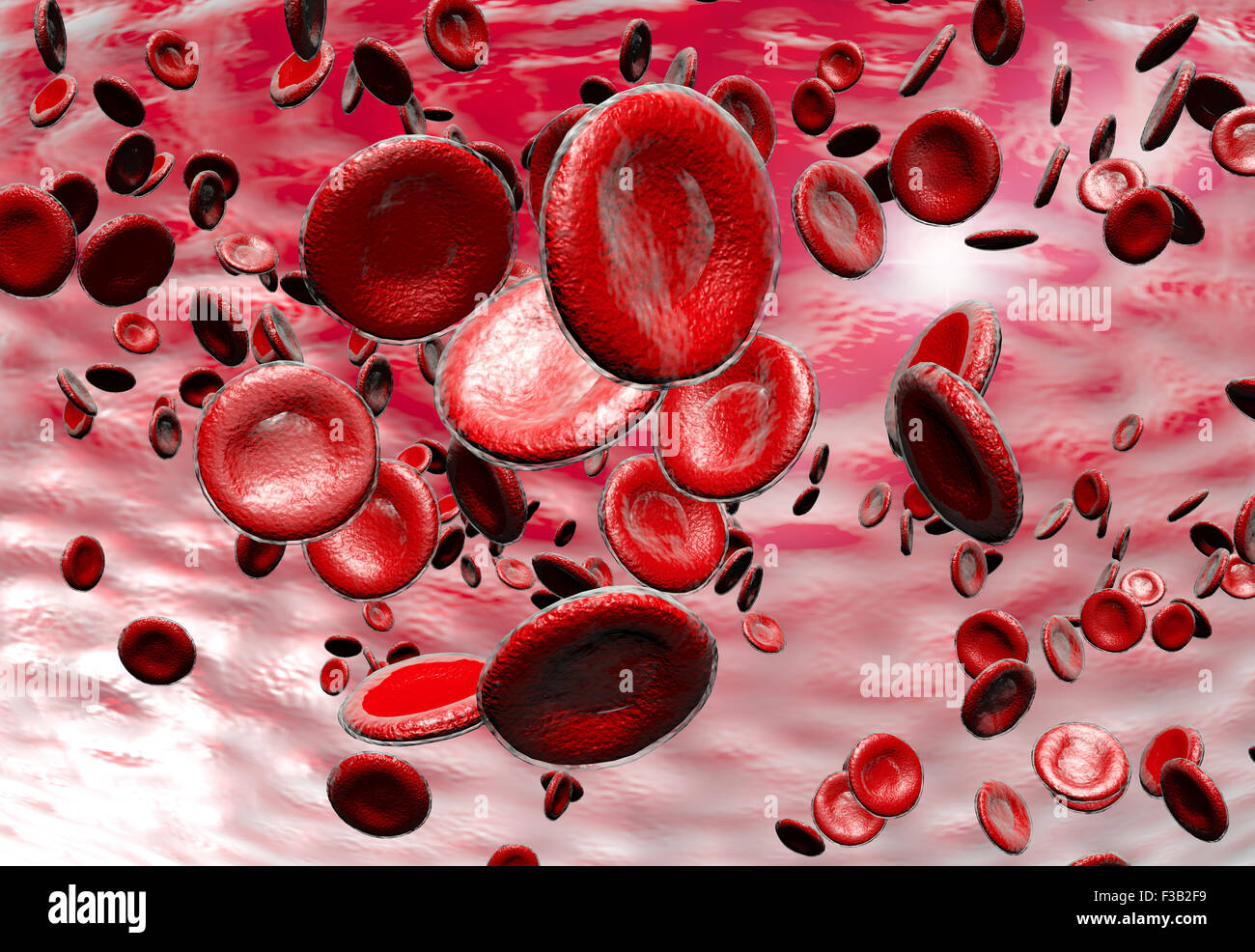 описать. эритроциты 3,2 в крови. красная кровяная клетка 9 букв. бабезии в красных кровяных клетках крови. эритроциты состоят из клеток.