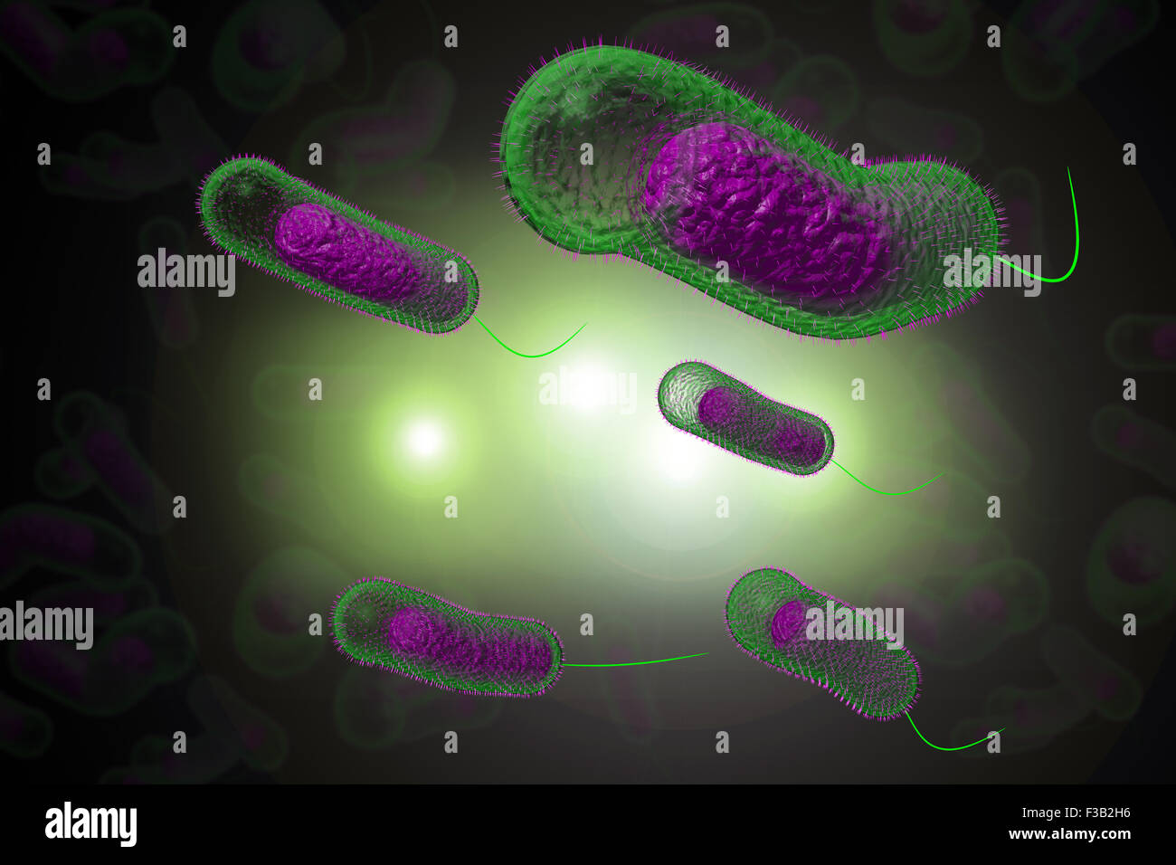 Close up 3D illustration of microscopic Cholera bacteria infection Stock Photo