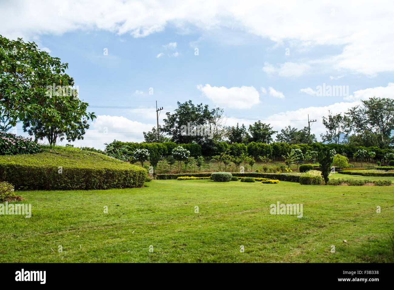 Green grass in the park Stock Photo - Alamy