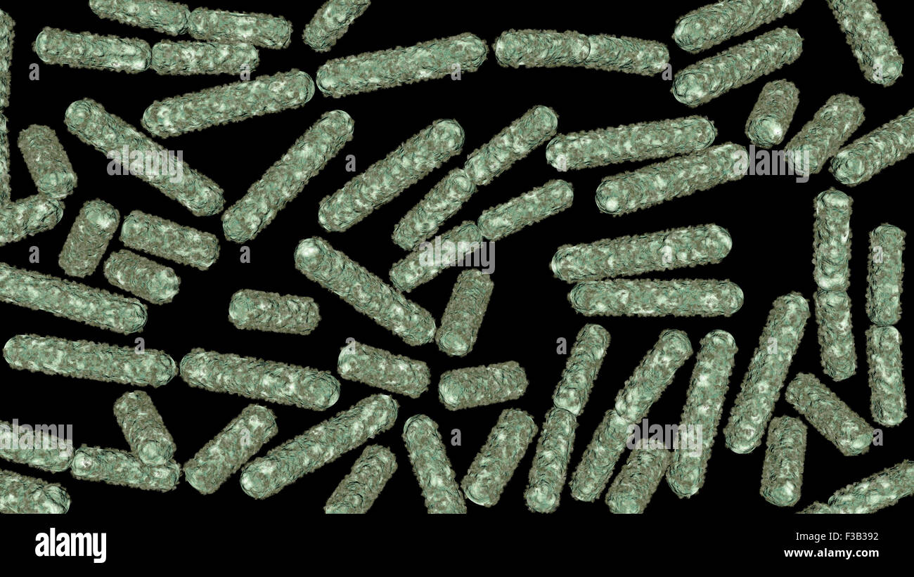 Escherichia coli also known as Ecoli bacteria in health science background 3D generated graphic Stock Photo