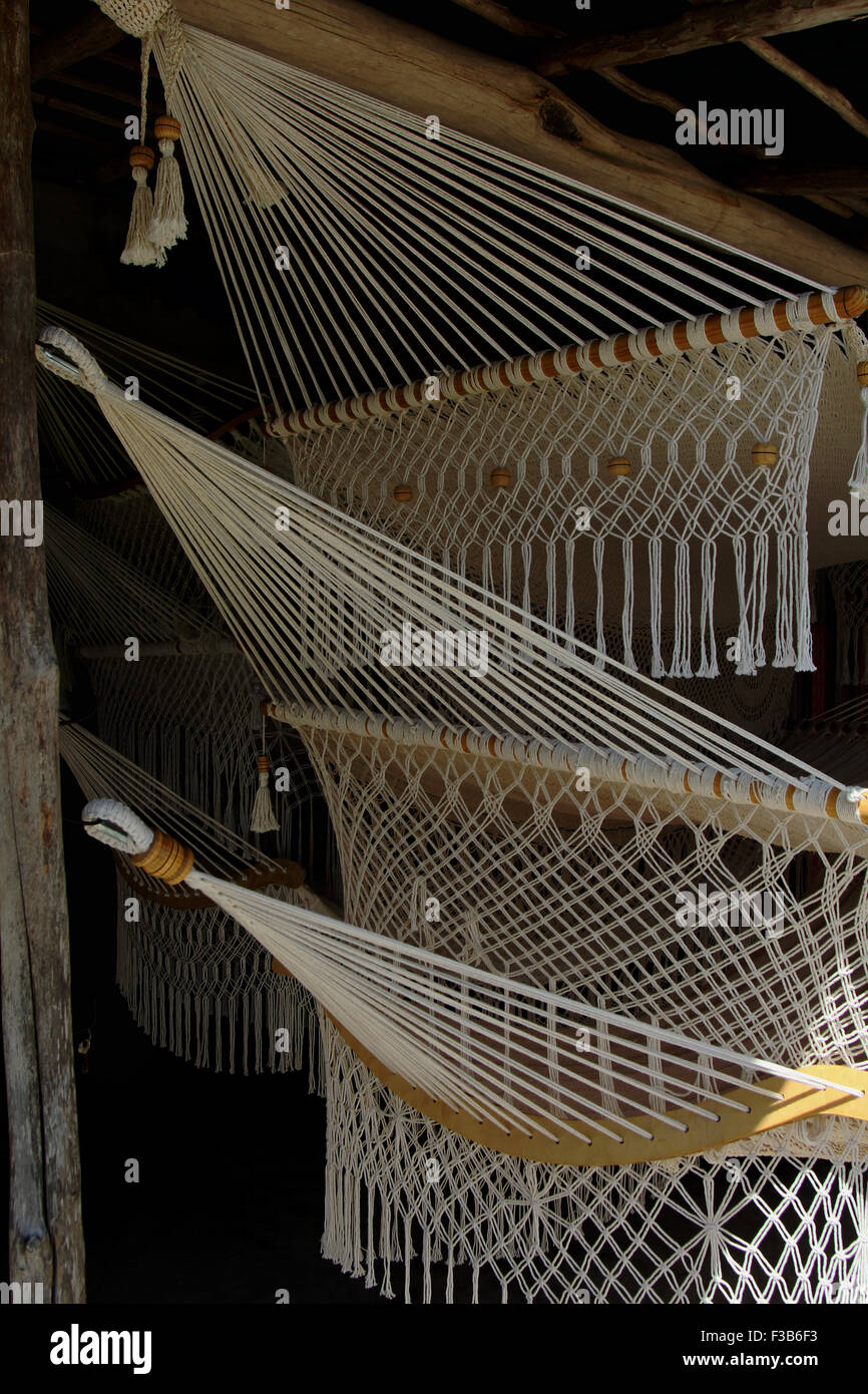 Hammock palm trees tulum mexico hires stock photography and images Alamy