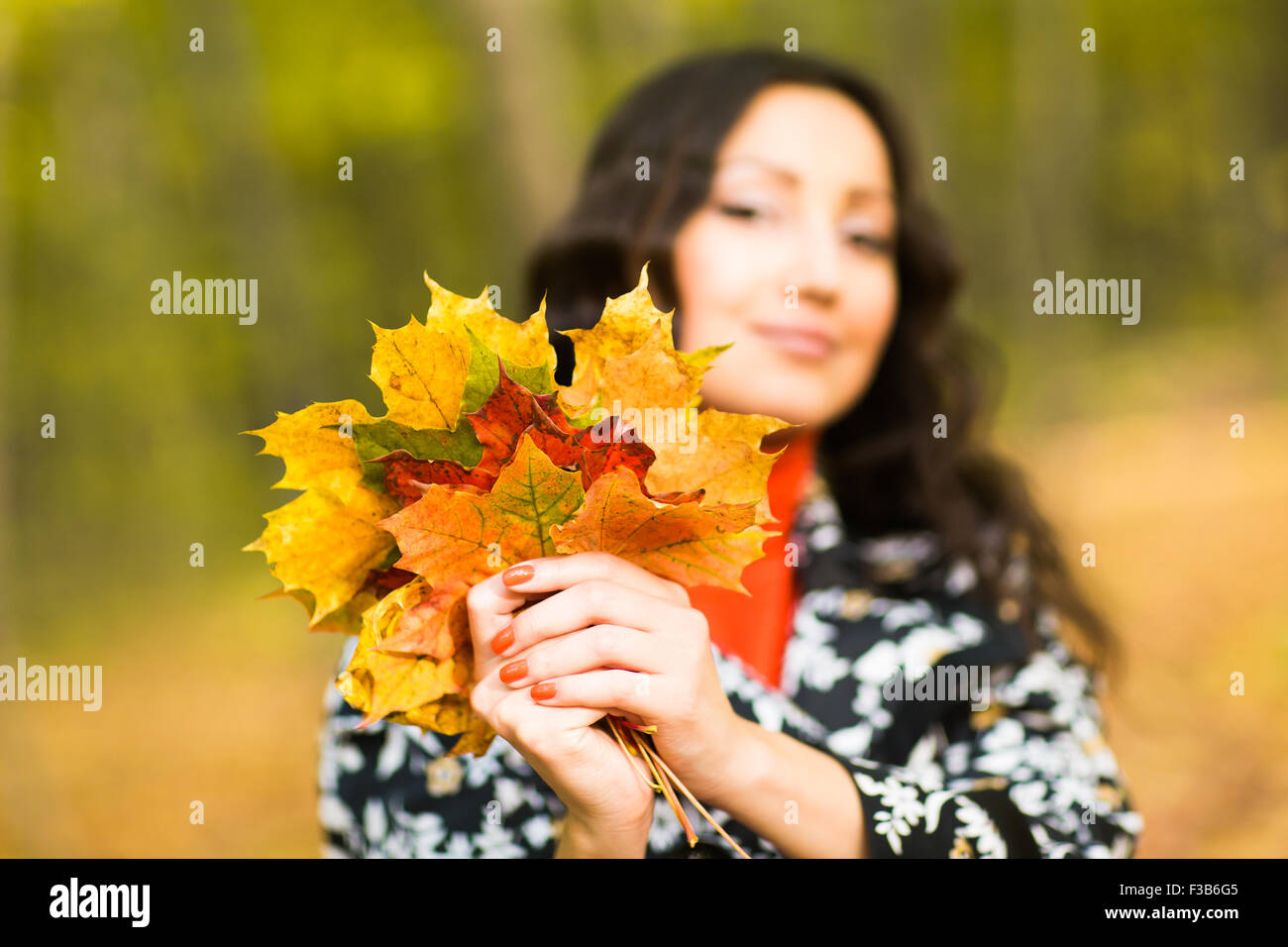 Cute Girl holding in hands yellow maple leaves Stock Photo - Alamy