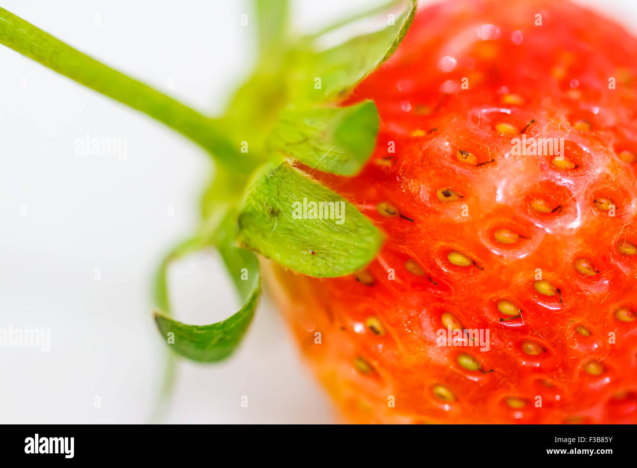 Strawberry berries on a white background Stock Photo - Alamy