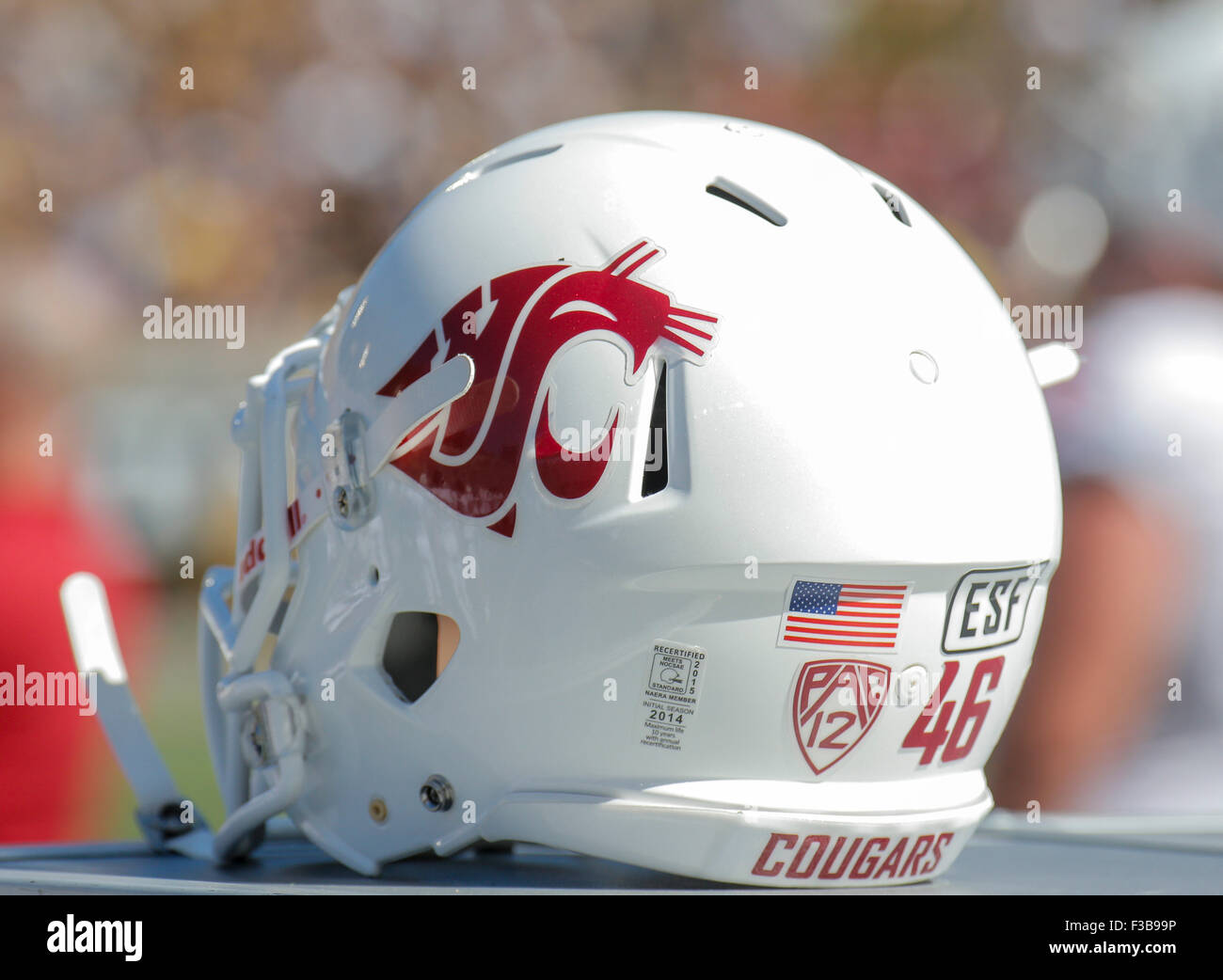 2015. Washington State football Helmet 
