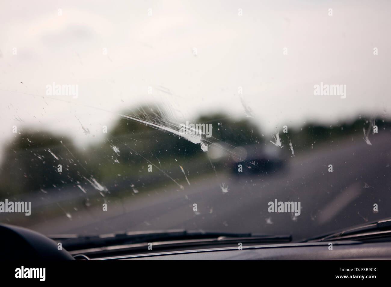 Dead flies splattered on a car windscreen Stock Photo