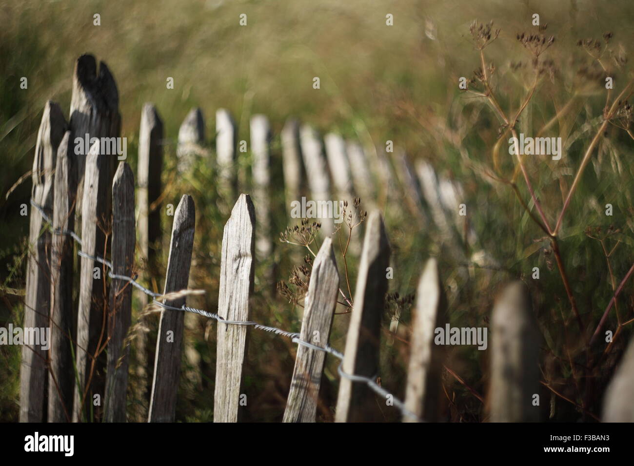 selected focus image of a wooden fence Stock Photo - Alamy