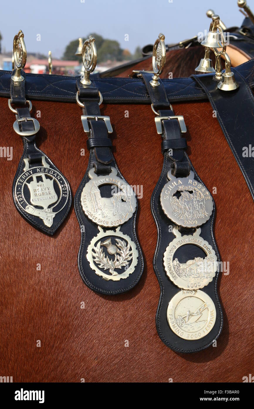 Horse brasses on a Shire horse harness Stock Photo Alamy