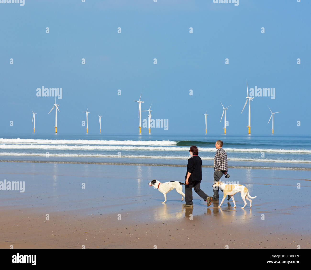 Couple with two dogs on the beach at Redcar, Cleveland, England UK Stock Photo