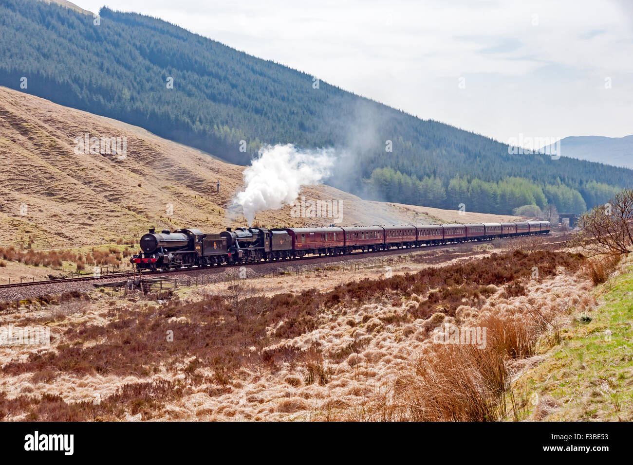 Steam engines K4 61994 The Great Marquess and 8F 48151 Gauge O'Guild pull a special towards Fort William just north of Tyndrum in Highland Scotland Stock Photo