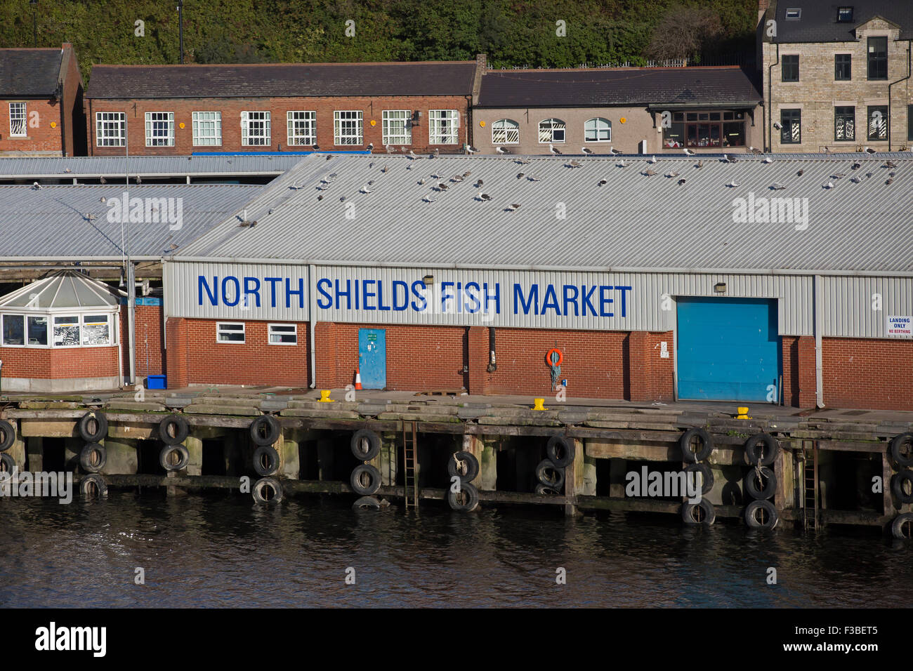 North Shields Fish Market Stock Photo