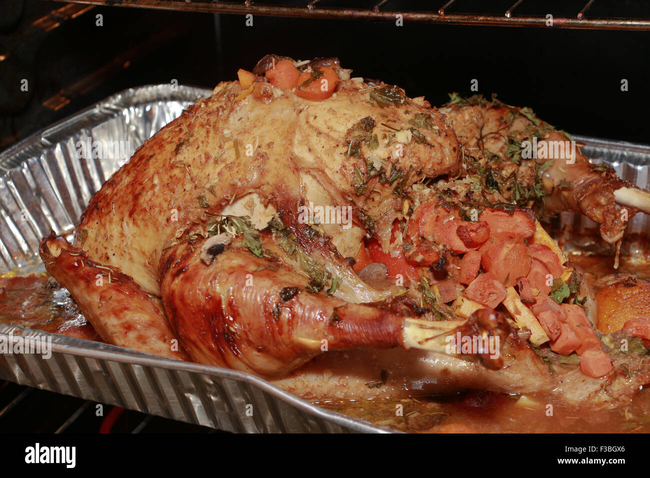 Thanksgiving Turkey Stock Photo