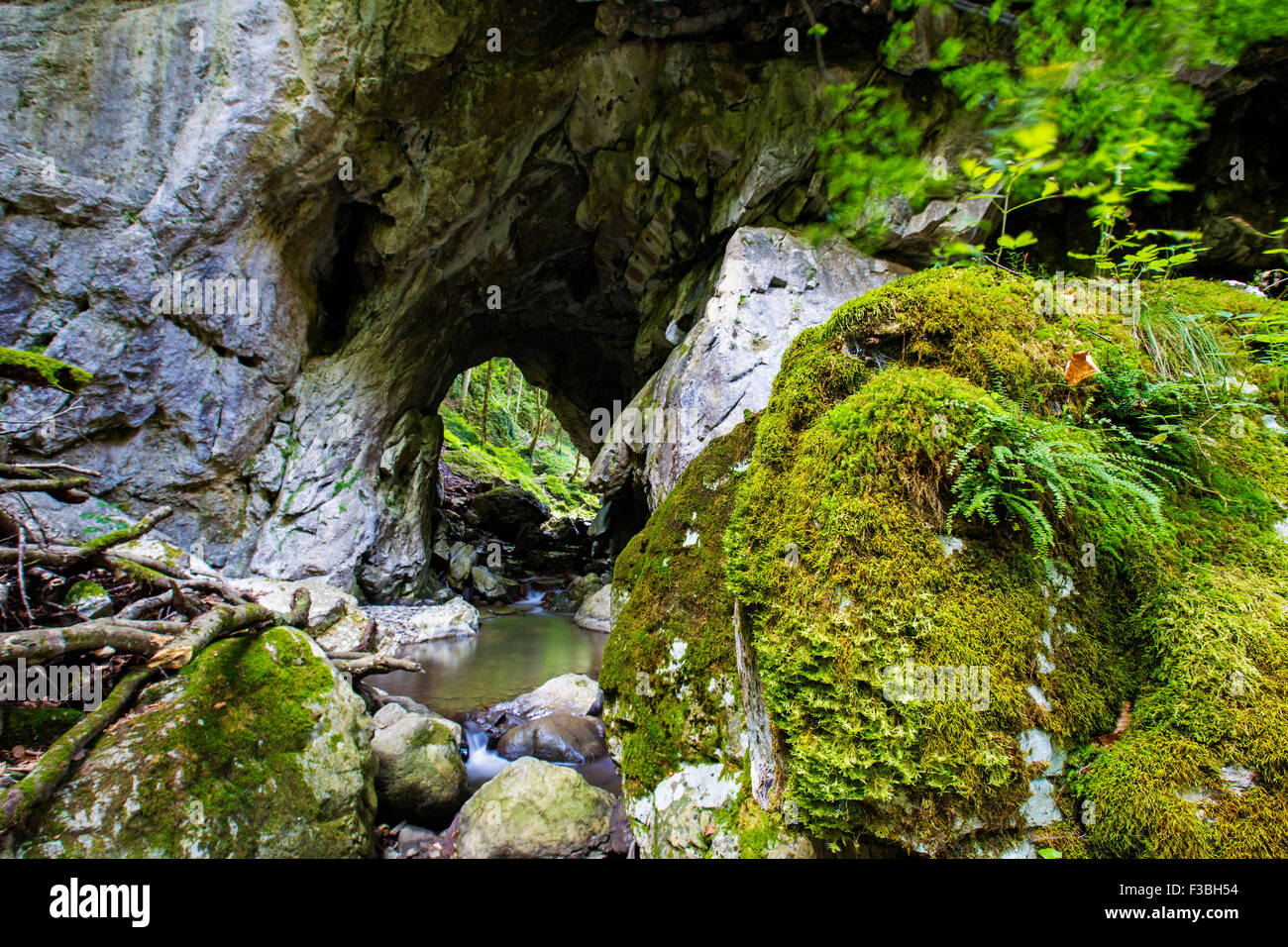 Limestone landscape - Podul Natural Grohot-Metaliferi mountains- Romania  Stock Photo - Alamy