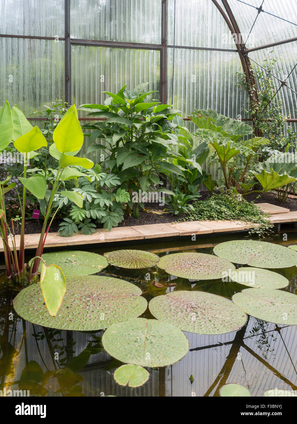 Giant water lilies green house at the International Garden Festival 2015 at Domain of Chaumont-sur-Loire Stock Photo