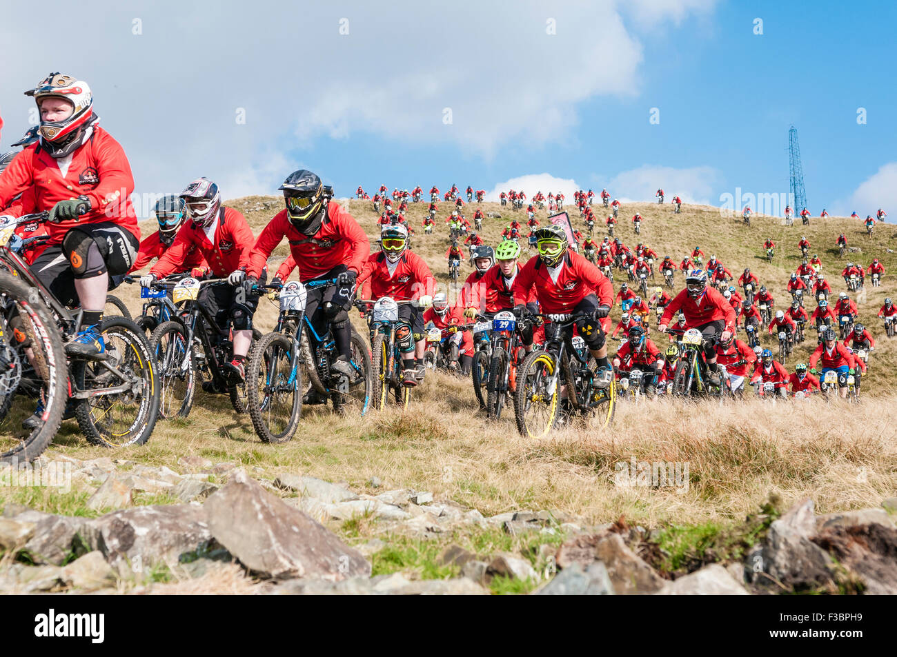 Red bull foxhunt High Resolution Stock 