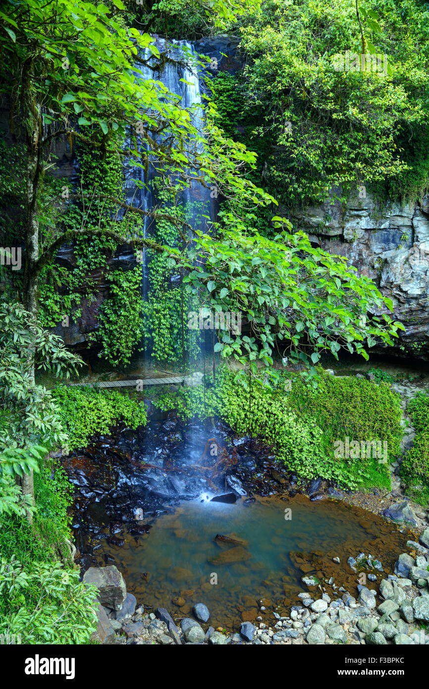 Crystal Shower Falls Stock Photos Crystal Shower Falls Stock