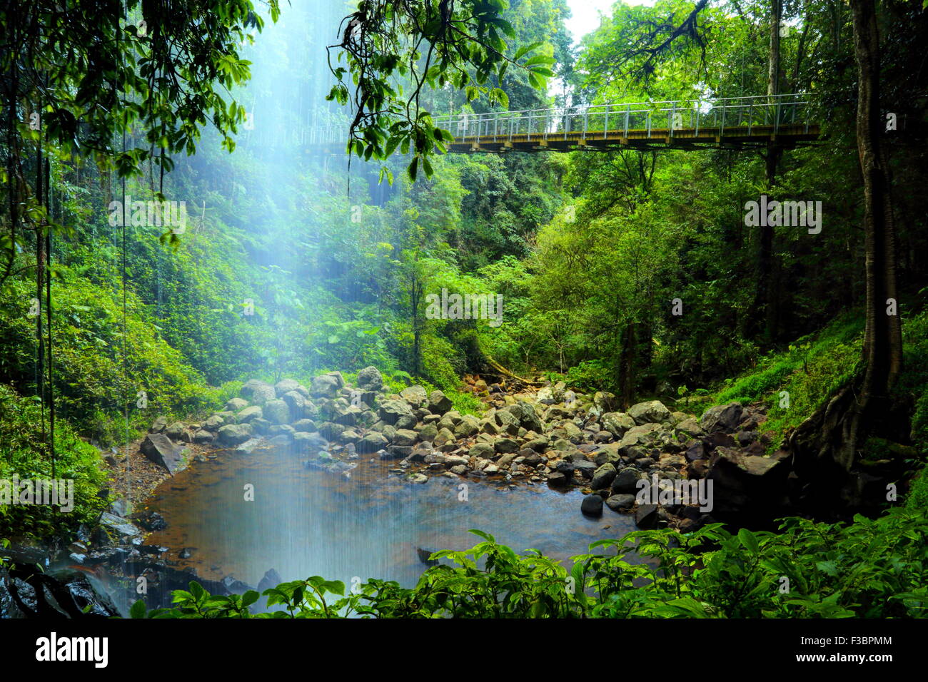 Crystal Shower Falls and suspension bridge along the Wonga Walk in Dorrigo National Park, Dorrigo, NSW, Australia. Stock Photo