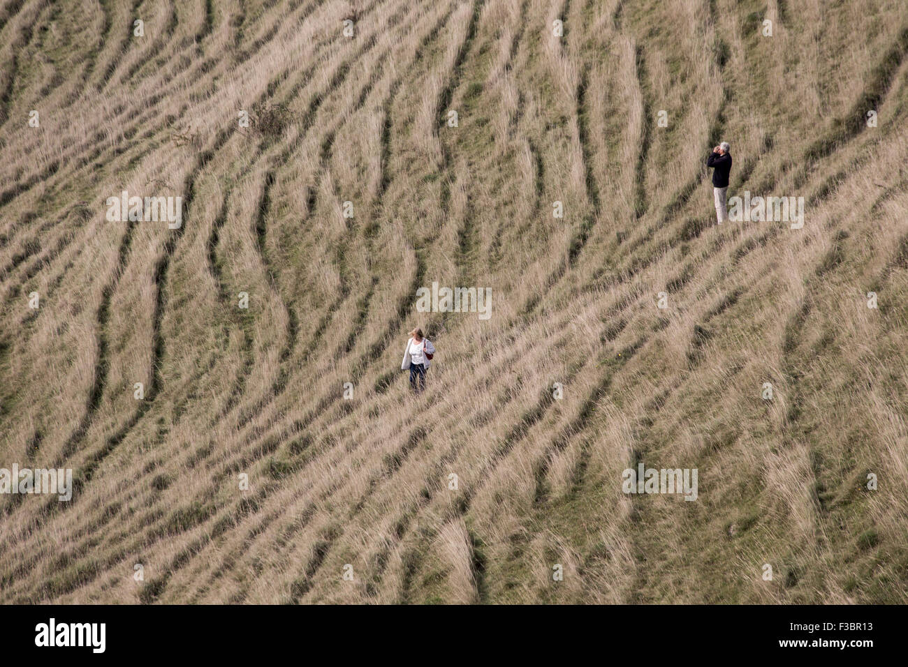 Cley Hill High Resolution Stock Photography and Images - Alamy Famous Crop Circle