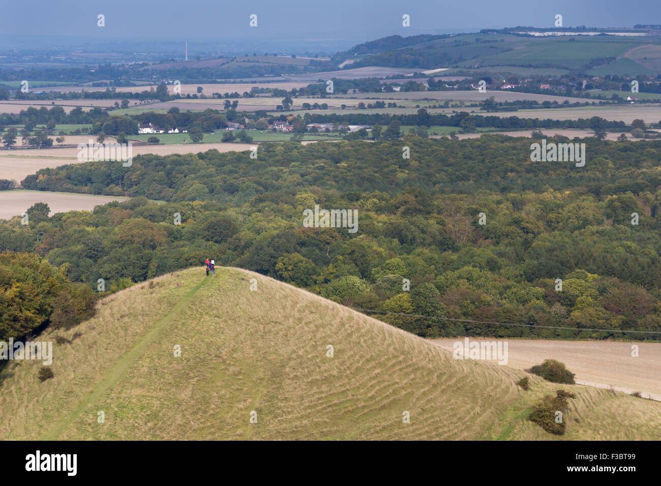 Cley Hill High Resolution Stock Photography and Images - Alamy Famous Crop Circle
