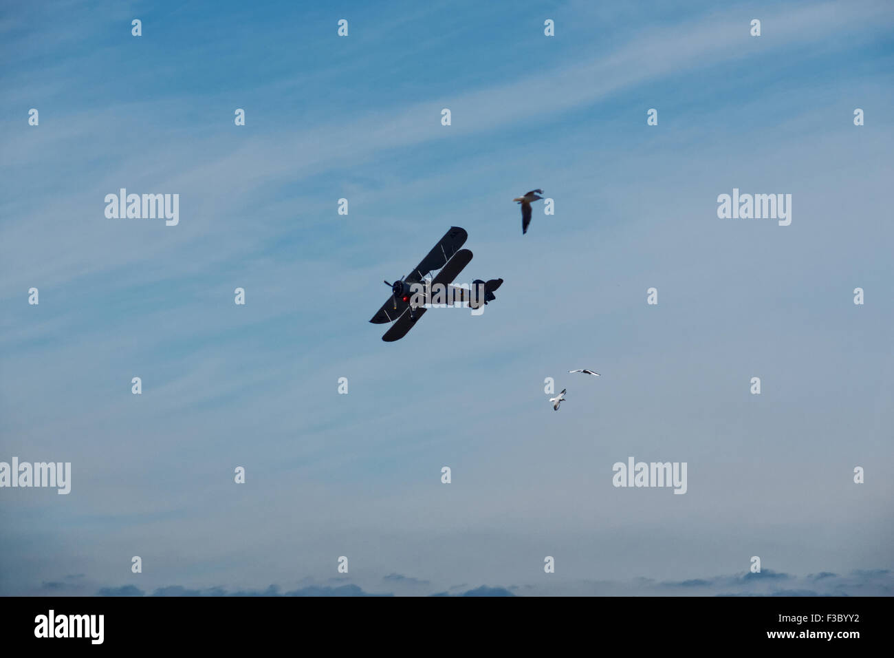 The Swordfish Plane Stock Photo Alamy