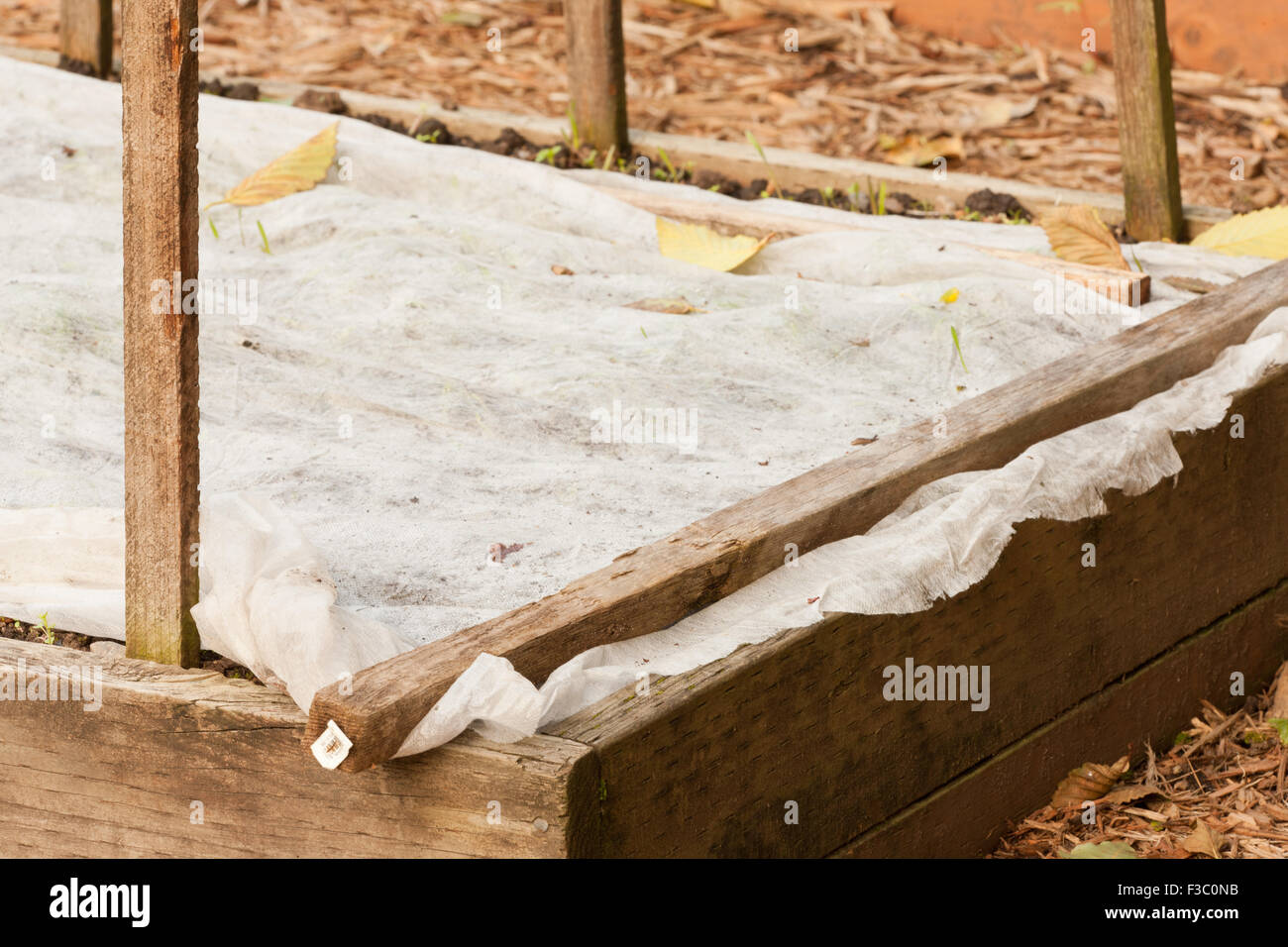 Raised vegetable beds prepared for dormancy with garden fabric cover placed on them, in a garden in Bellevue, Washington, USA Stock Photo