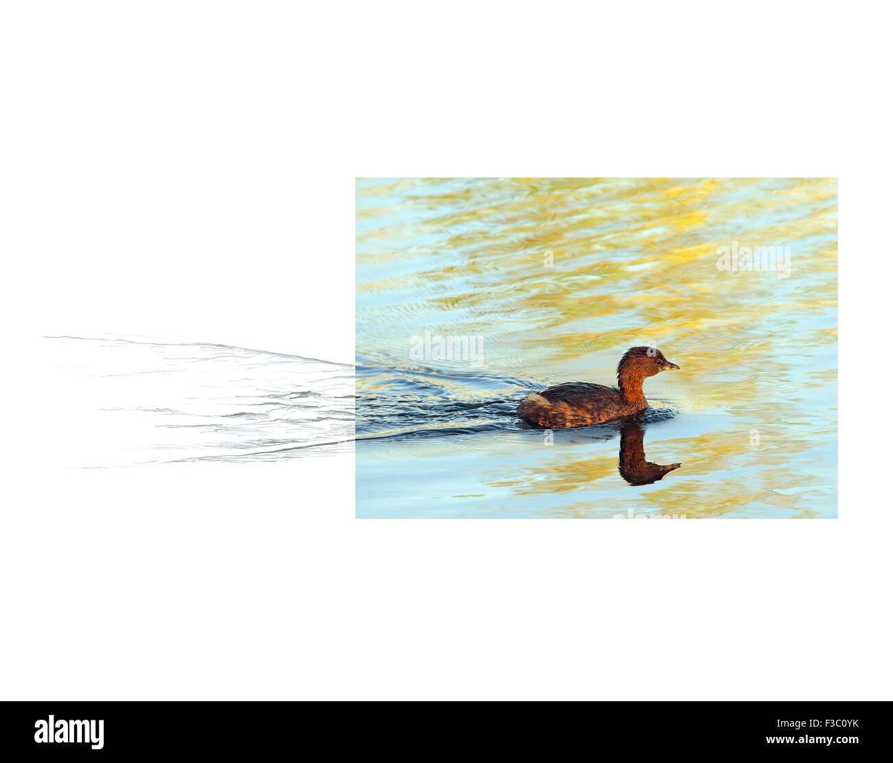 This is one of only 27 Creative Context images we have created; photo ...
