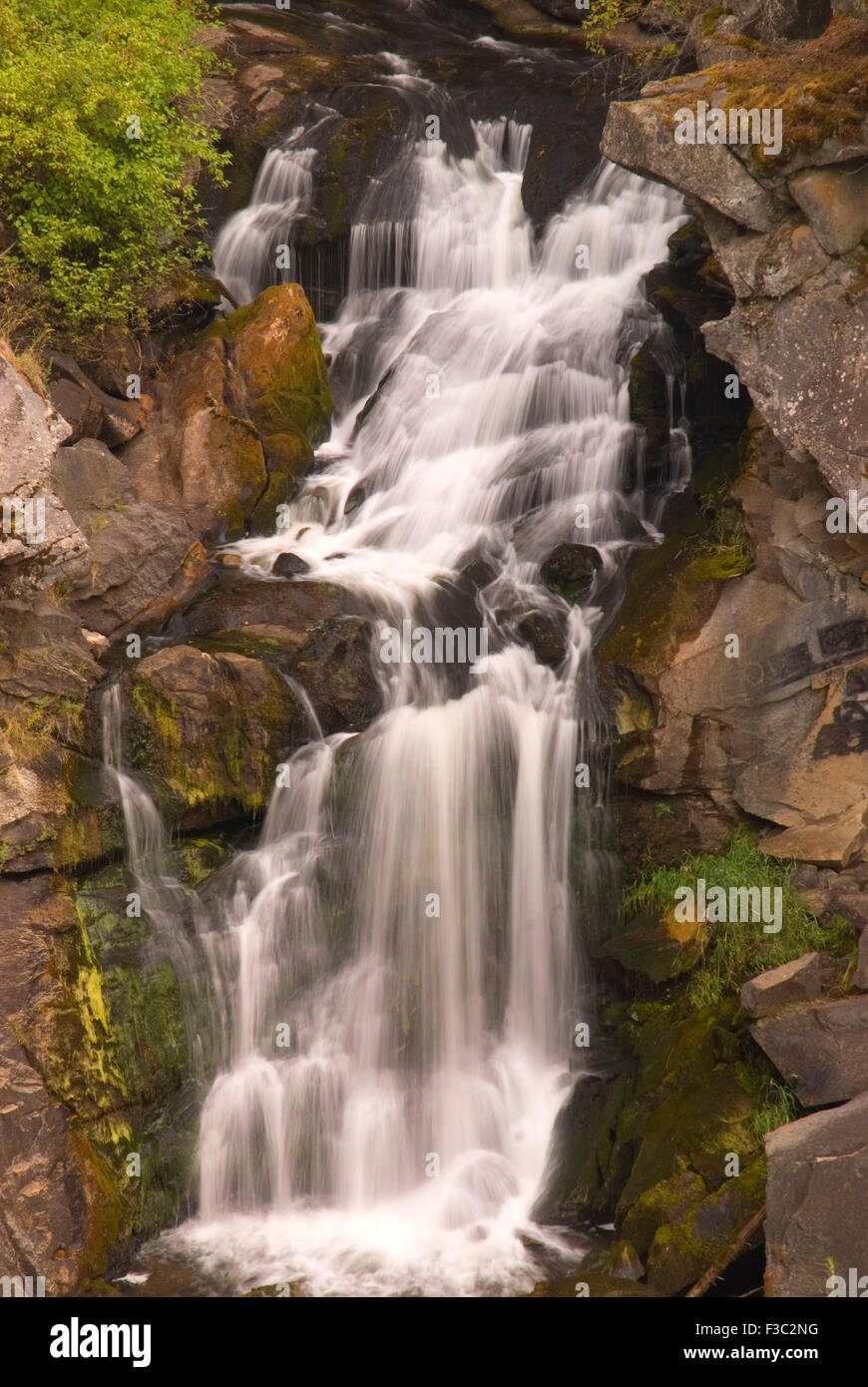 Crystal Falls, Crystal Falls State Park, Washington Stock Photo - Alamy