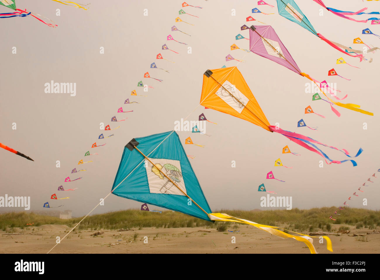 Kites, Sand & Sawdust Festival, Ocean Shores, Washington Stock Photo