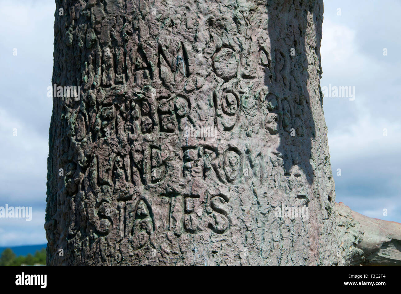 Clark's Tree bronze sculpture along Discovery Trail, Long Beach, Washington  Stock Photo - Alamy