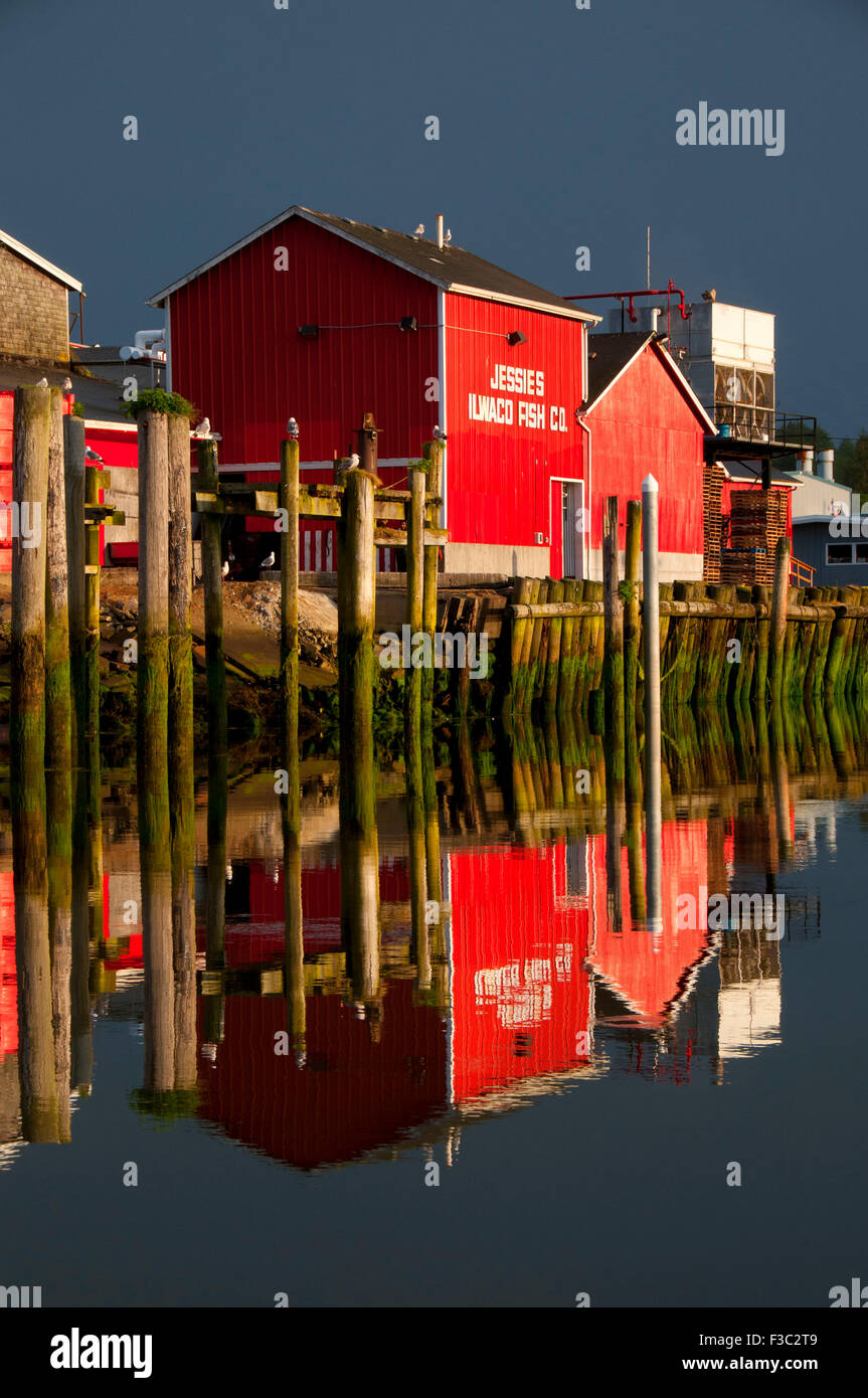 Ilwaco Fish Co. with reflection, Ilwaco, Washington Stock Photo Alamy