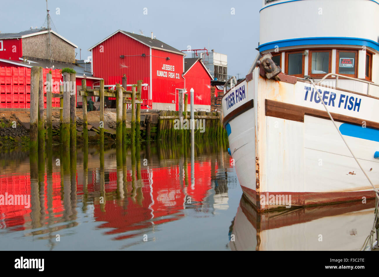Ilwaco Fish Co. with fishing boat, Ilwaco, Washington Stock Photo Alamy