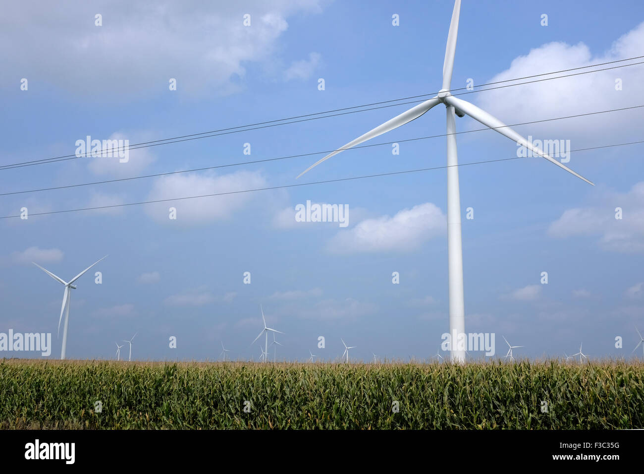 Windmills in the Cornfields of South Dakota Stock Photo