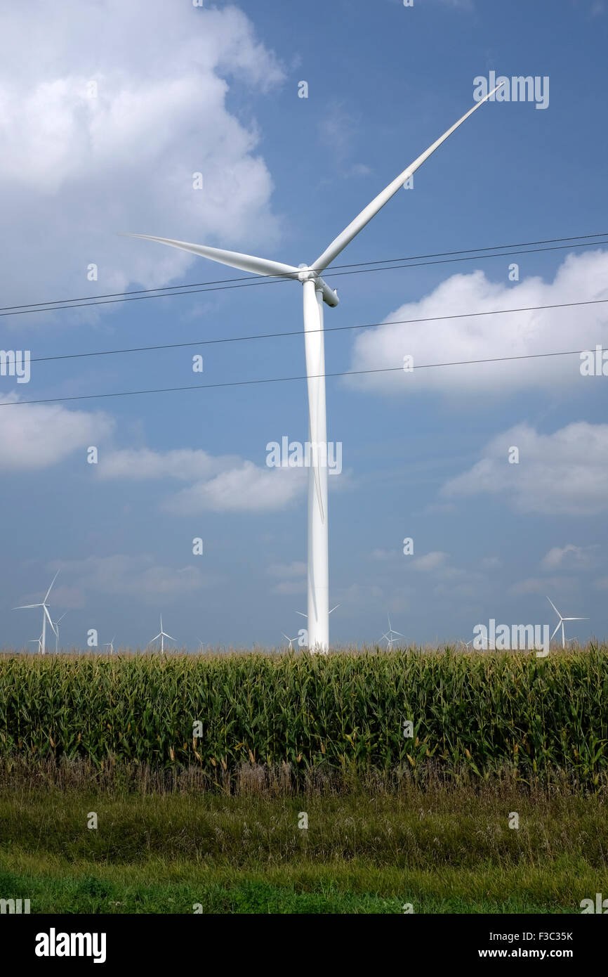 Windmills in the cornfields of South Dakota Stock Photo